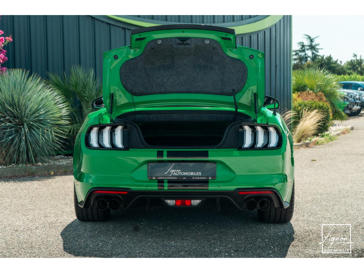 Photo FORD MUSTANG Cabriolet 5.0 V8 - 450 - BVA10  - 1er main - Magneride - Spinel Green