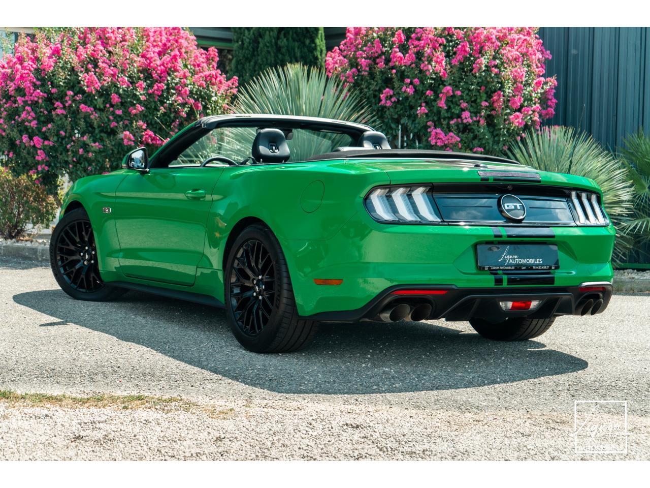 Photo FORD MUSTANG Cabriolet 5.0 V8 - 450 - BVA10  - 1er main - Magneride - Spinel Green