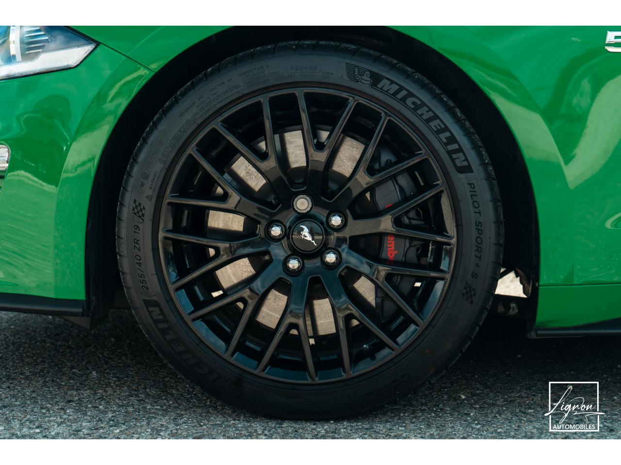 Photo FORD MUSTANG Cabriolet 5.0 V8 - 450 - BVA10  - 1er main - Magneride - Spinel Green