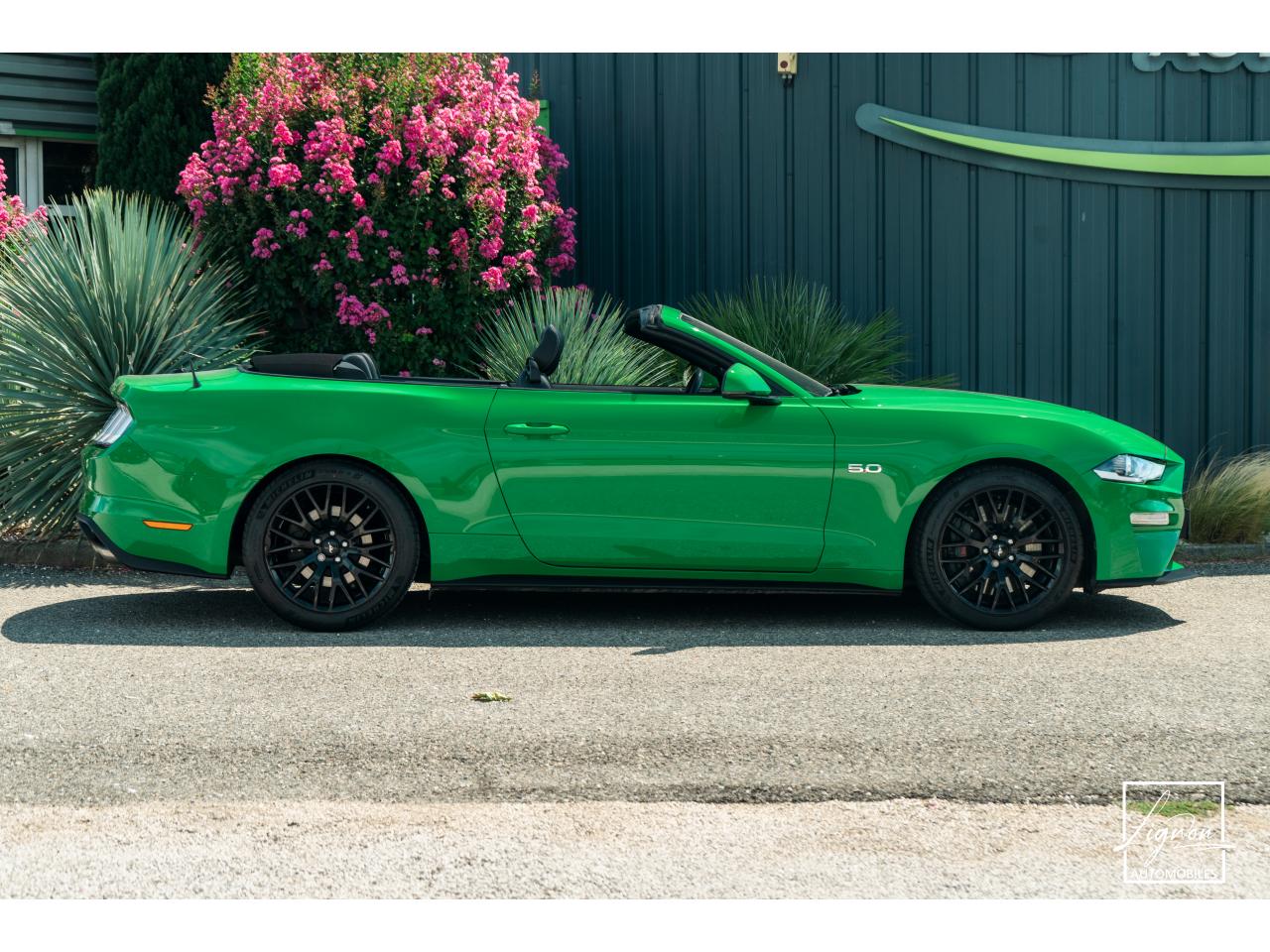 Photo FORD MUSTANG Cabriolet 5.0 V8 - 450 - BVA10  - 1er main - Magneride - Spinel Green