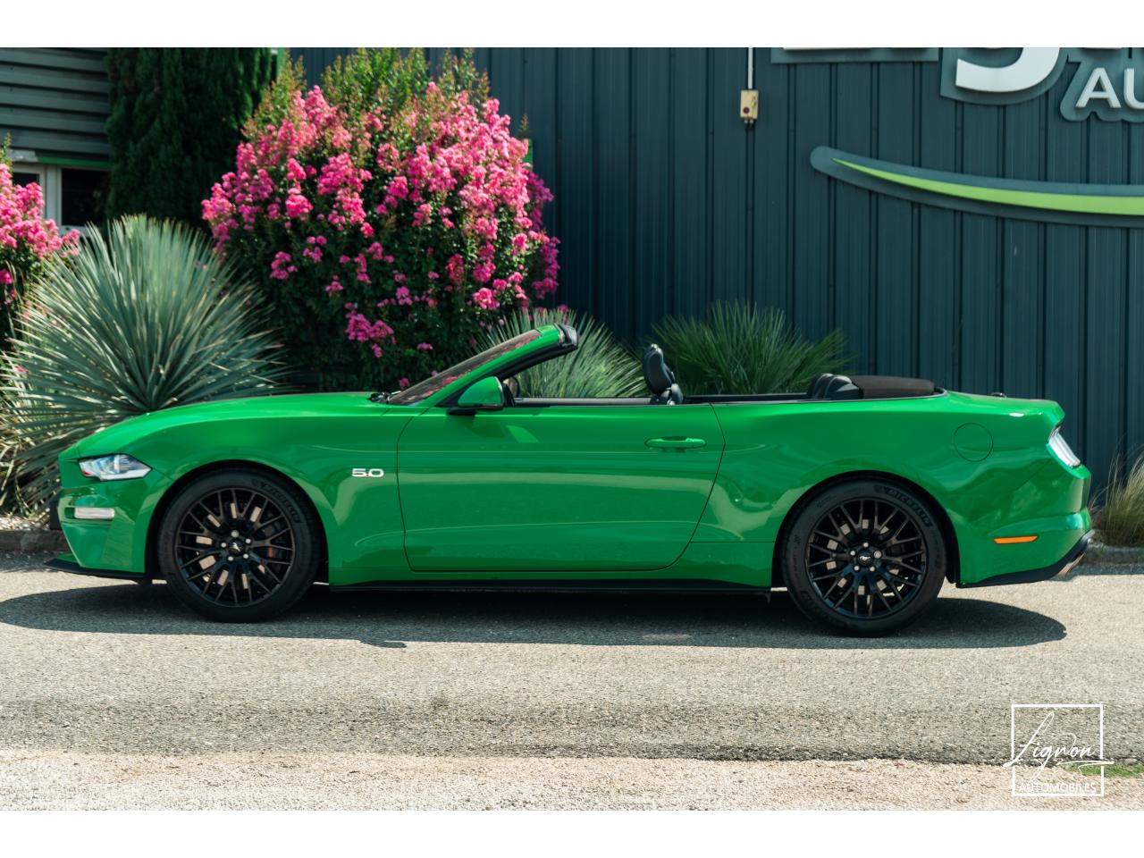Photo FORD MUSTANG Cabriolet 5.0 V8 - 450 - BVA10  - 1er main - Magneride - Spinel Green