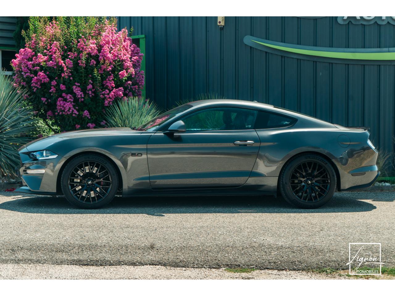 Photo FORD MUSTANG Fastback 5.0 V8 - 450 - BVA  FASTBACK COUPE GT PHASE 2