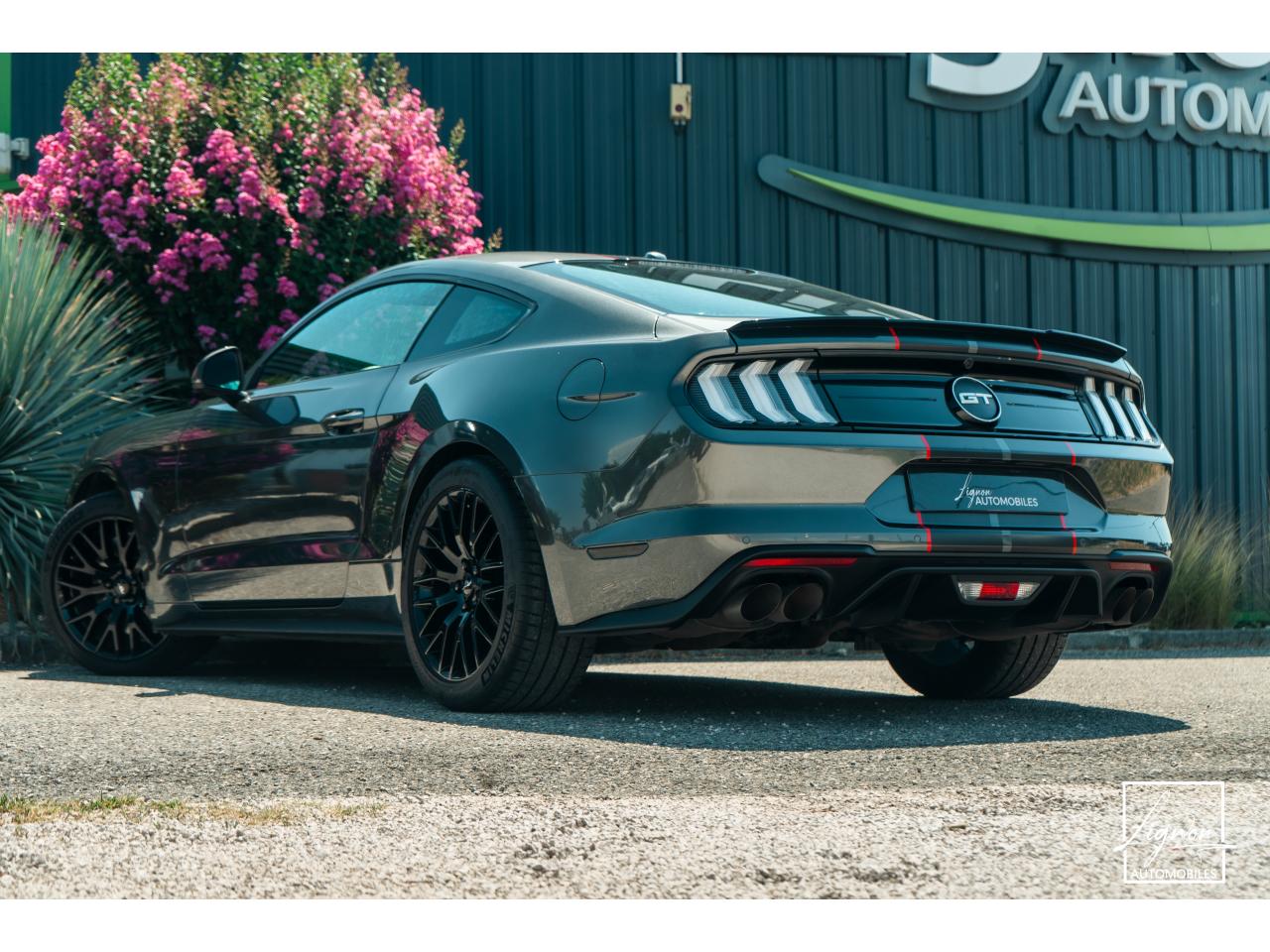 Photo FORD MUSTANG Fastback 5.0 V8 - 450 - BVA  FASTBACK COUPE GT PHASE 2