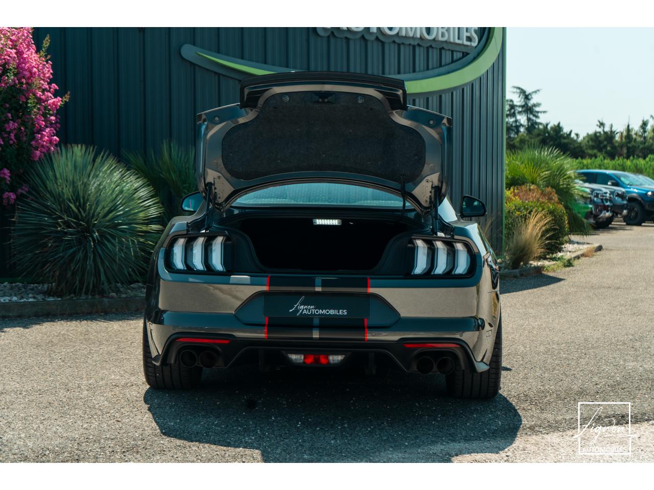 Photo FORD MUSTANG Fastback 5.0 V8 - 450 - BVA  FASTBACK COUPE GT PHASE 2