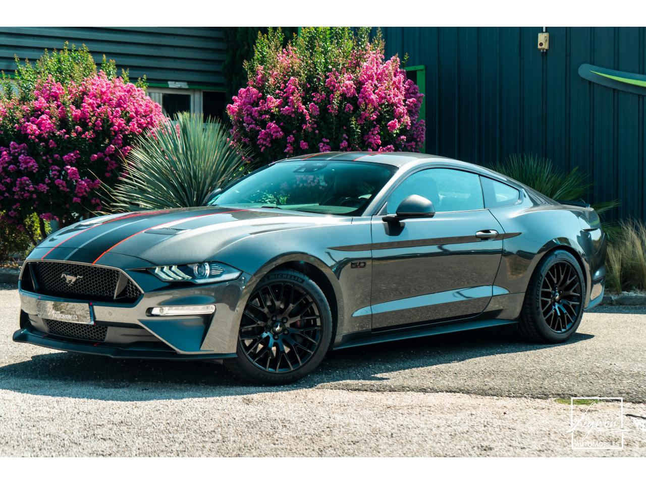 Photo FORD MUSTANG Fastback 5.0 V8 - 450 - BVA  FASTBACK COUPE GT PHASE 2