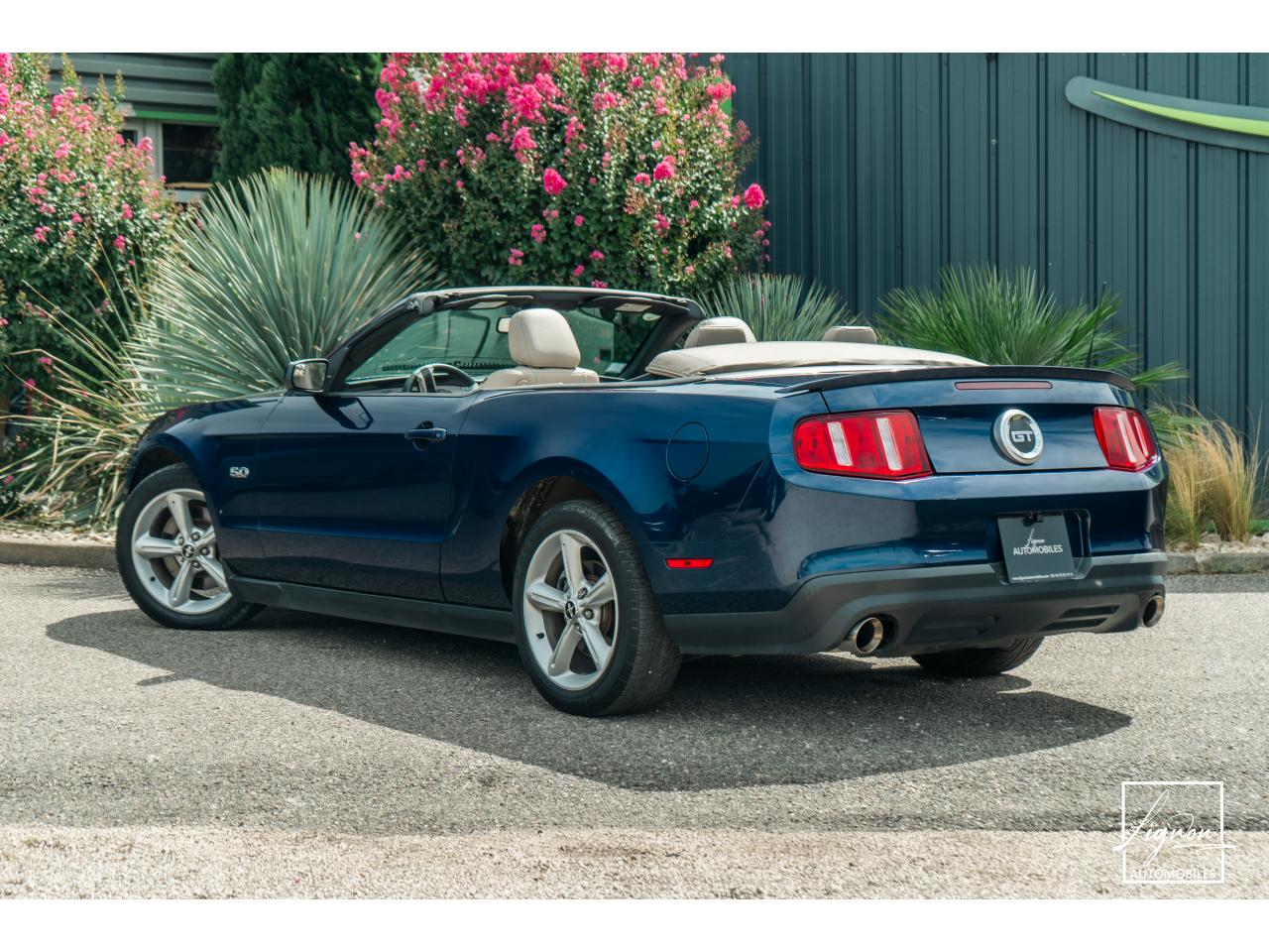 Photo FORD MUSTANG GT Cabriolet V8 5.0L 418ch - BVM6 Configuration Rare !