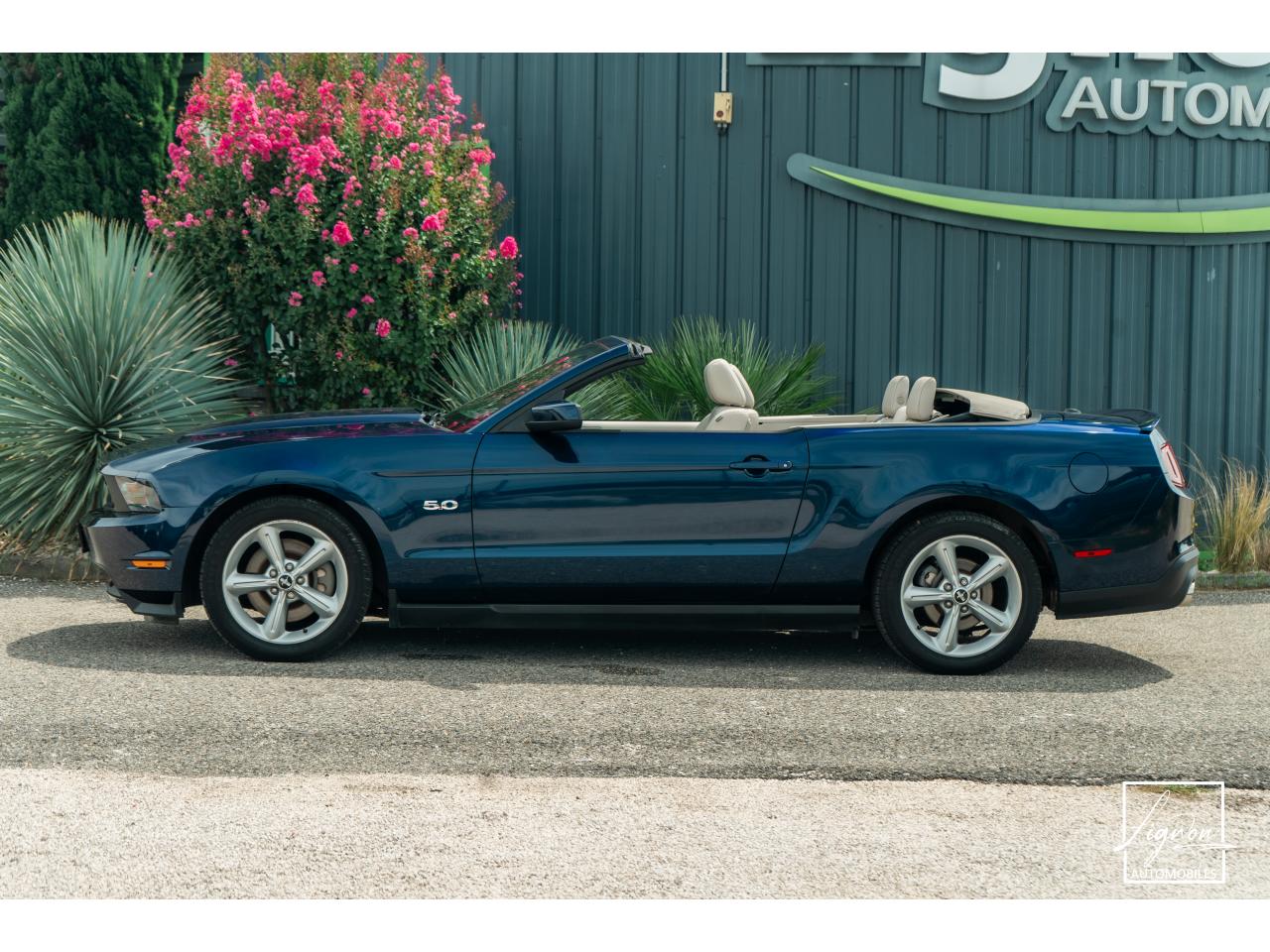 Photo FORD MUSTANG GT Cabriolet V8 5.0L 418ch - BVM6 Configuration Rare !