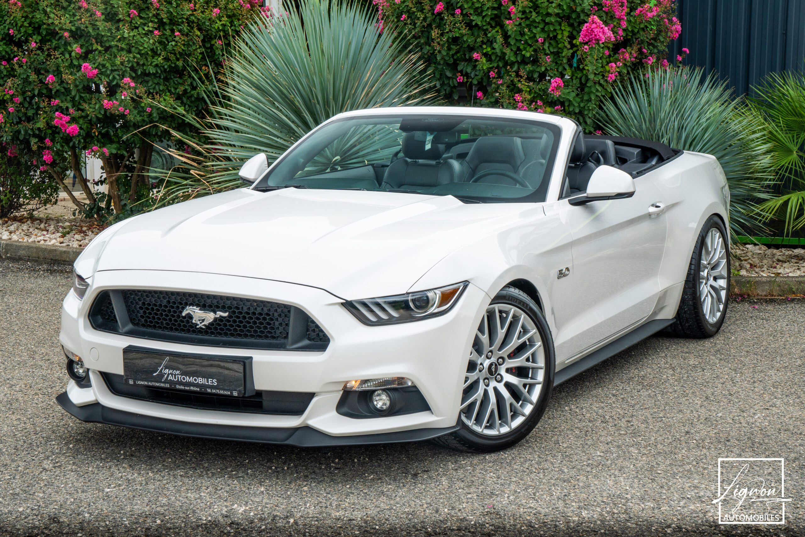 FORD MUSTANG Cabriolet 5.0 V8 - 421 - BVA  GT - Echappement à Clapets - 1er main - à partir de 601 euros
