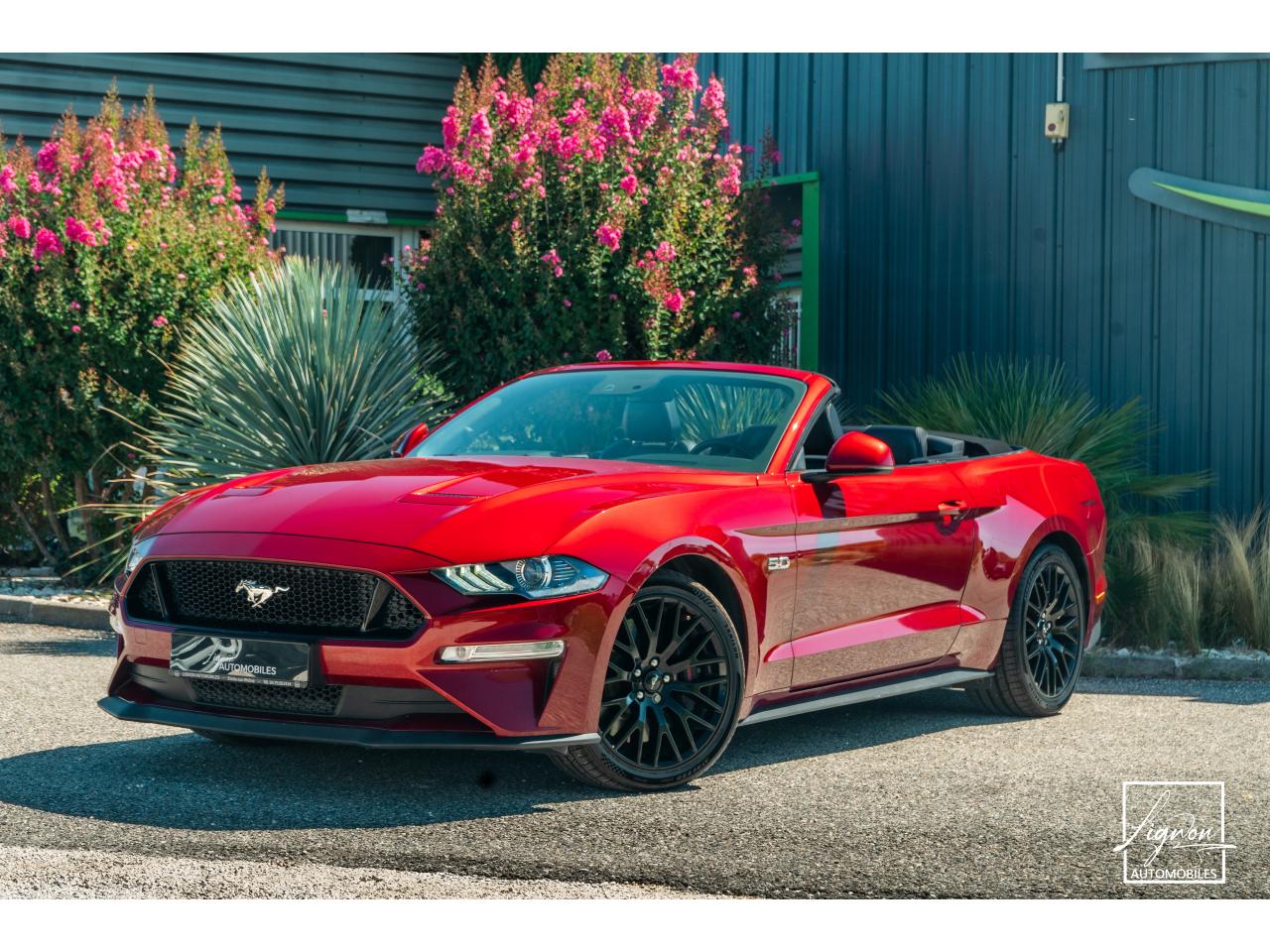 2277 FORD MUSTANG Cabriolet 5.0 V8 – 450 – BVA10 – à partir de 703 euros