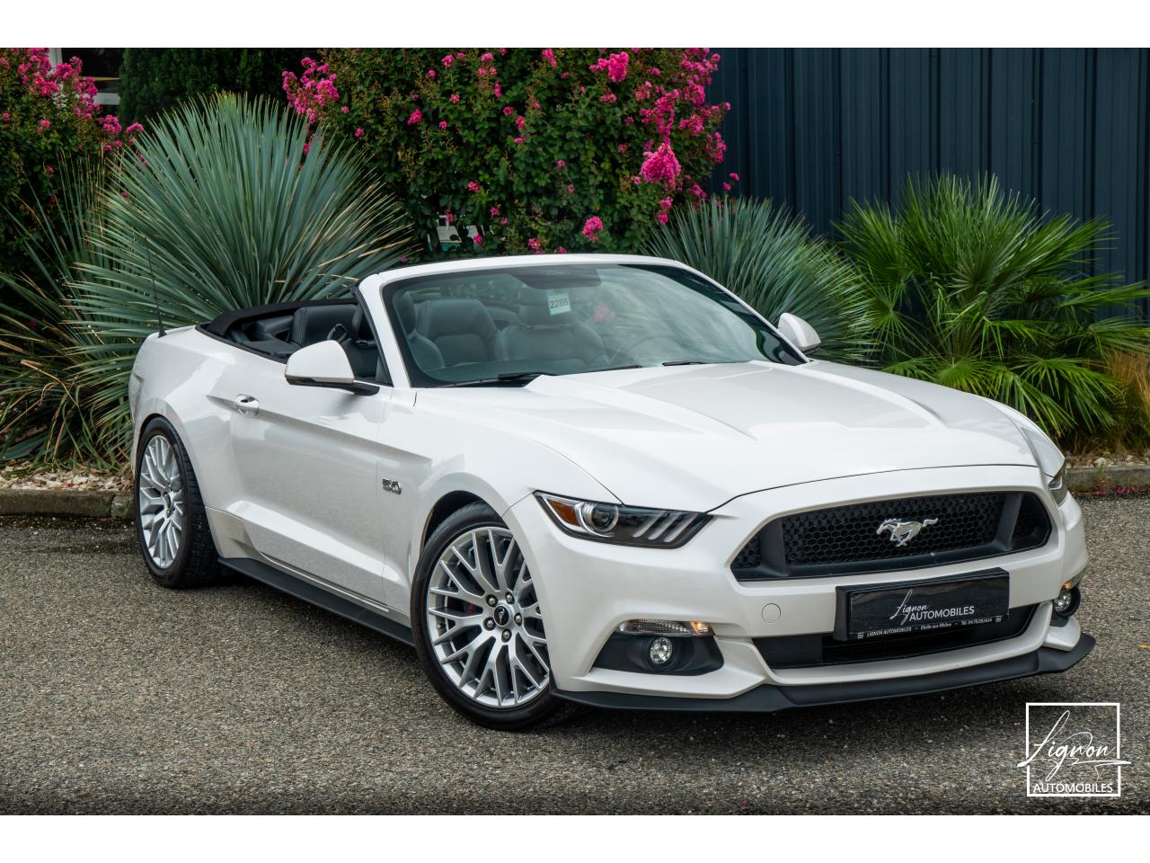 Photo FORD MUSTANG Cabriolet 5.0 V8 - 421 - BVA  GT - Echappement à Clapets - 1er main - à partir de 601 euros