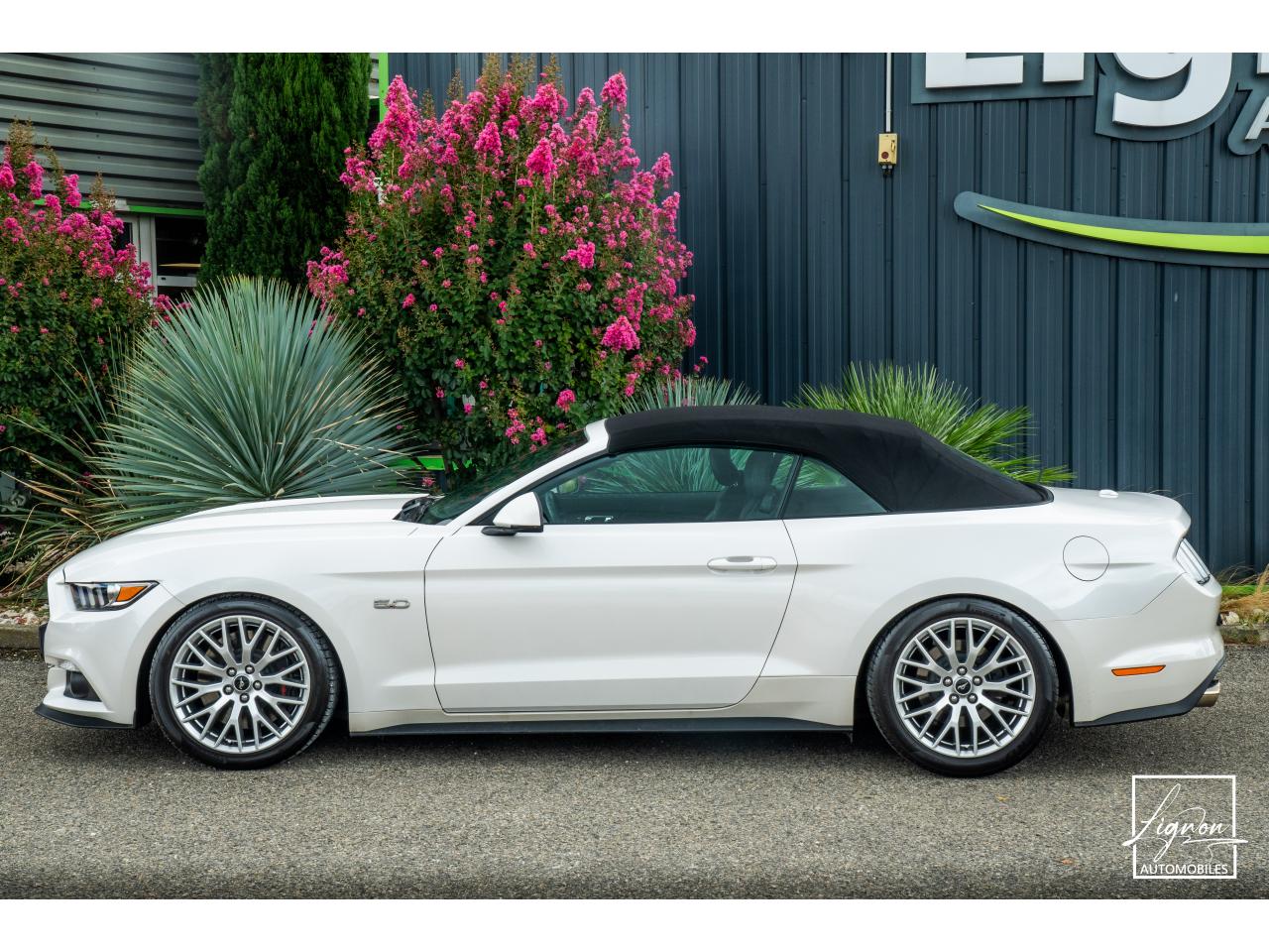 Photo FORD MUSTANG Cabriolet 5.0 V8 - 421 - BVA  GT - Echappement à Clapets - 1er main - à partir de 601 euros