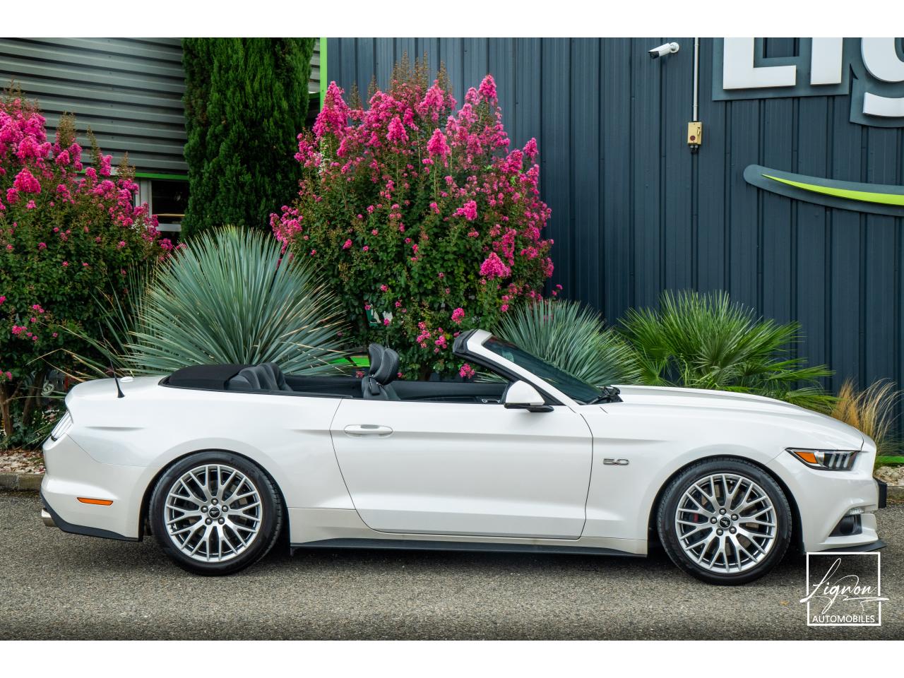 Photo FORD MUSTANG Cabriolet 5.0 V8 - 421 - BVA  GT - Echappement à Clapets - 1er main - à partir de 601 euros