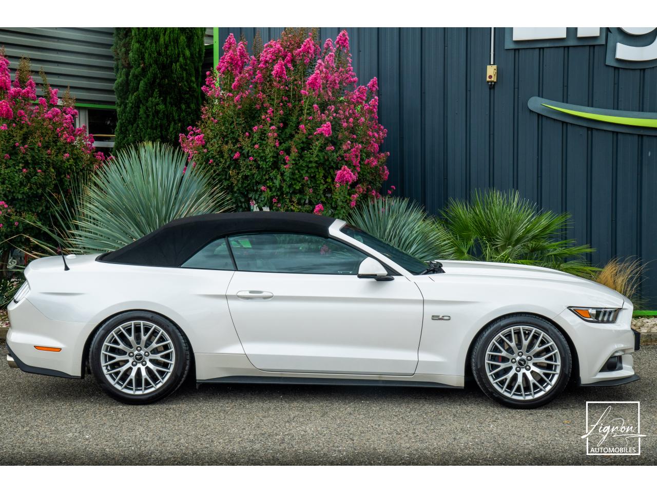 Photo FORD MUSTANG Cabriolet 5.0 V8 - 421 - BVA  GT - Echappement à Clapets - 1er main - à partir de 601 euros