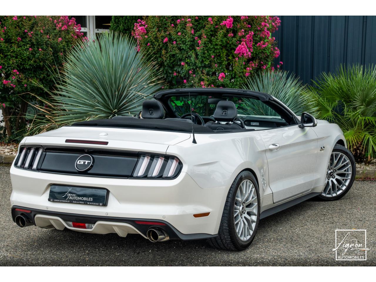 Photo FORD MUSTANG Cabriolet 5.0 V8 - 421 - BVA  GT - Echappement à Clapets - 1er main - à partir de 601 euros