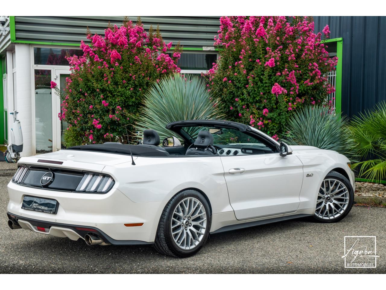 Photo FORD MUSTANG Cabriolet 5.0 V8 - 421 - BVA  GT - Echappement à Clapets - 1er main - à partir de 601 euros