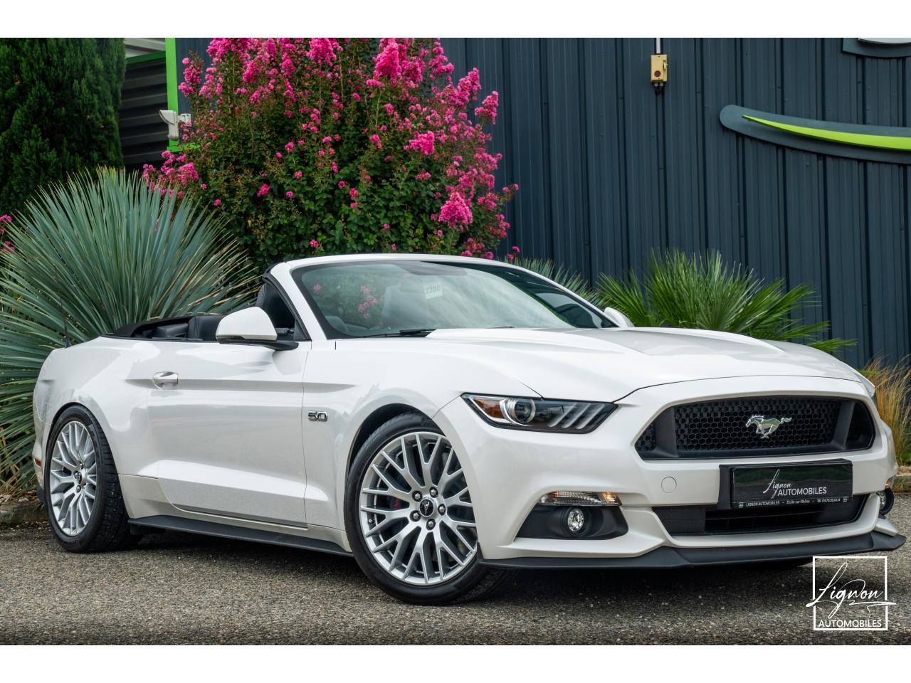 Photo FORD MUSTANG Cabriolet 5.0 V8 - 421 - BVA  GT - Echappement à Clapets - 1er main - à partir de 601 euros