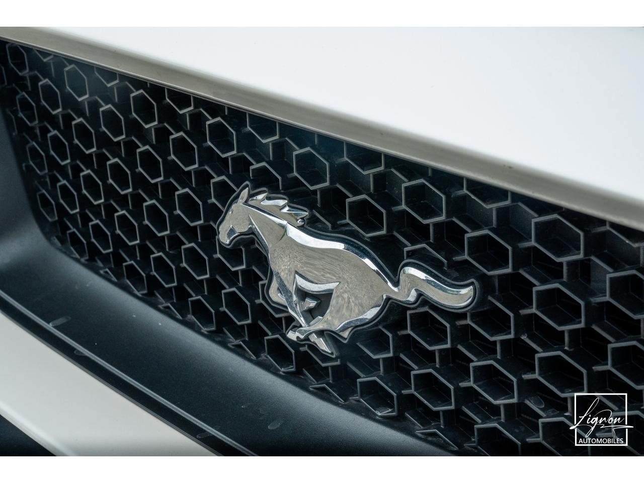Photo FORD MUSTANG Cabriolet 5.0 V8 - 421 - BVA  GT - Echappement à Clapets - 1er main - à partir de 601 euros