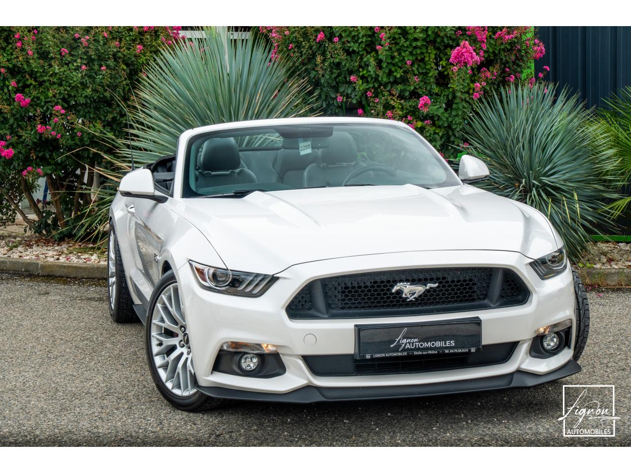 Photo FORD MUSTANG Cabriolet 5.0 V8 - 421 - BVA  GT - Echappement à Clapets - 1er main - à partir de 601 euros