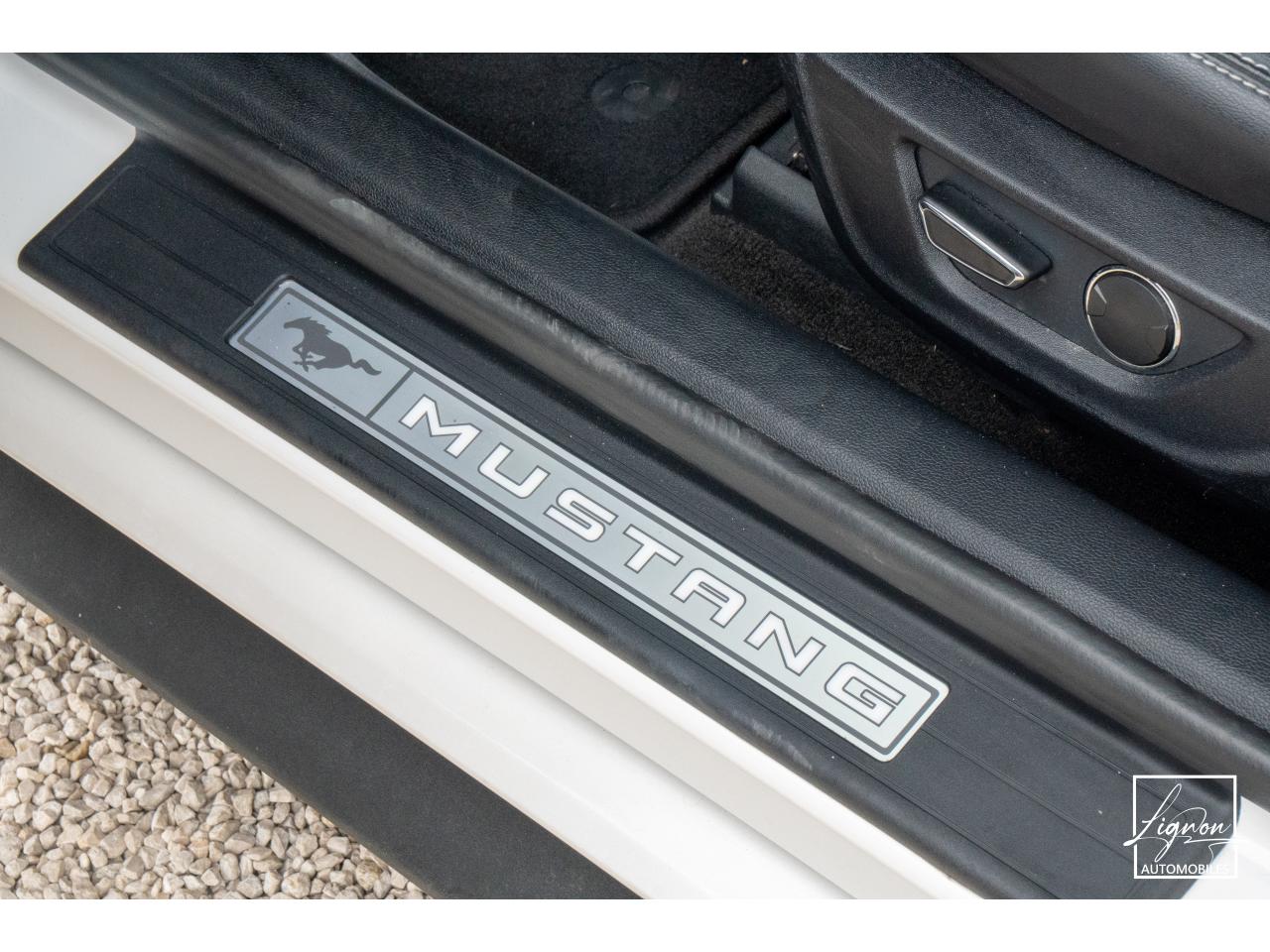 Photo FORD MUSTANG Cabriolet 5.0 V8 - 421 - BVA  GT - Echappement à Clapets - 1er main - à partir de 601 euros