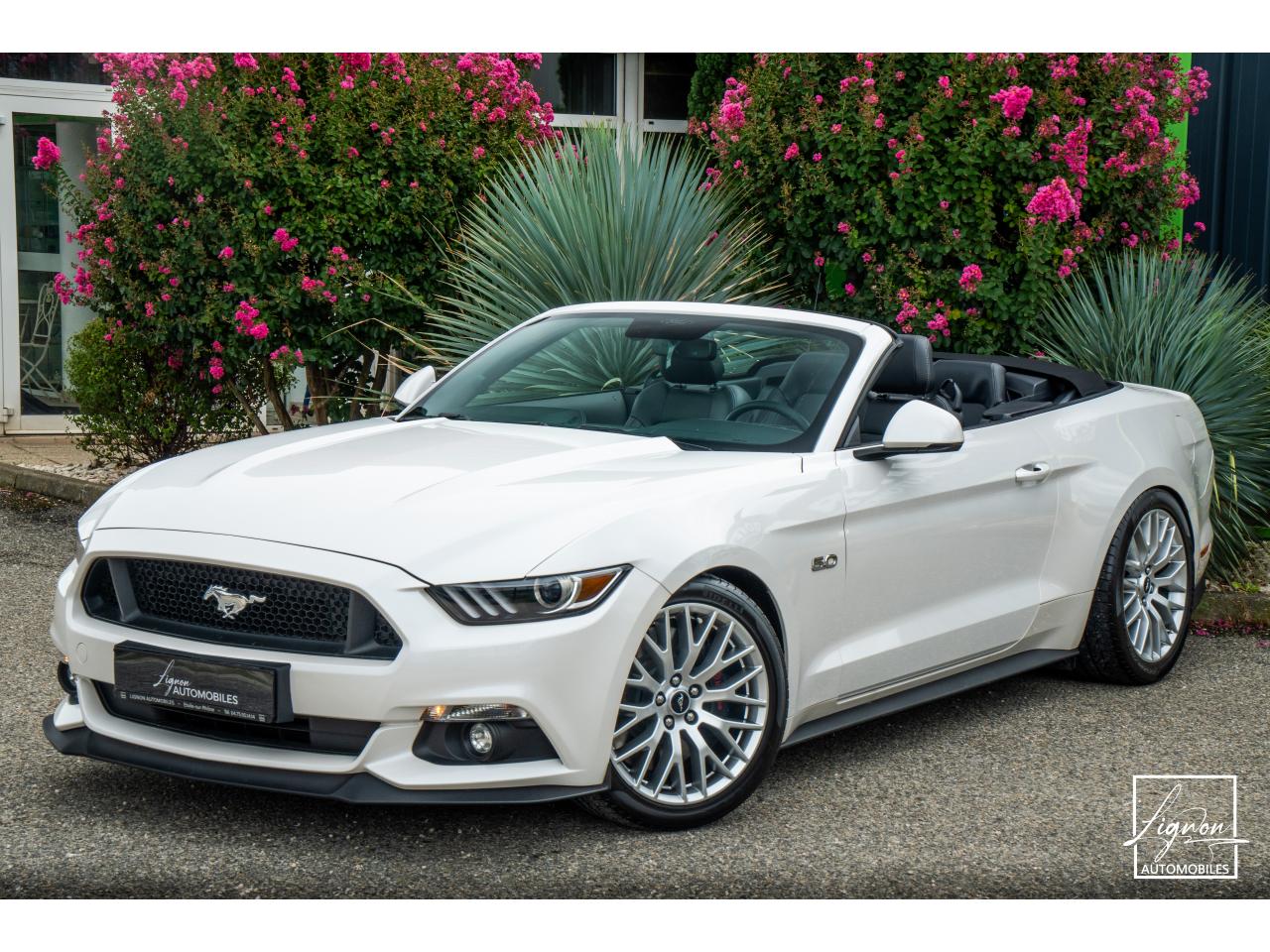 Photo FORD MUSTANG Cabriolet 5.0 V8 - 421 - BVA  GT - Echappement à Clapets - 1er main - à partir de 601 euros
