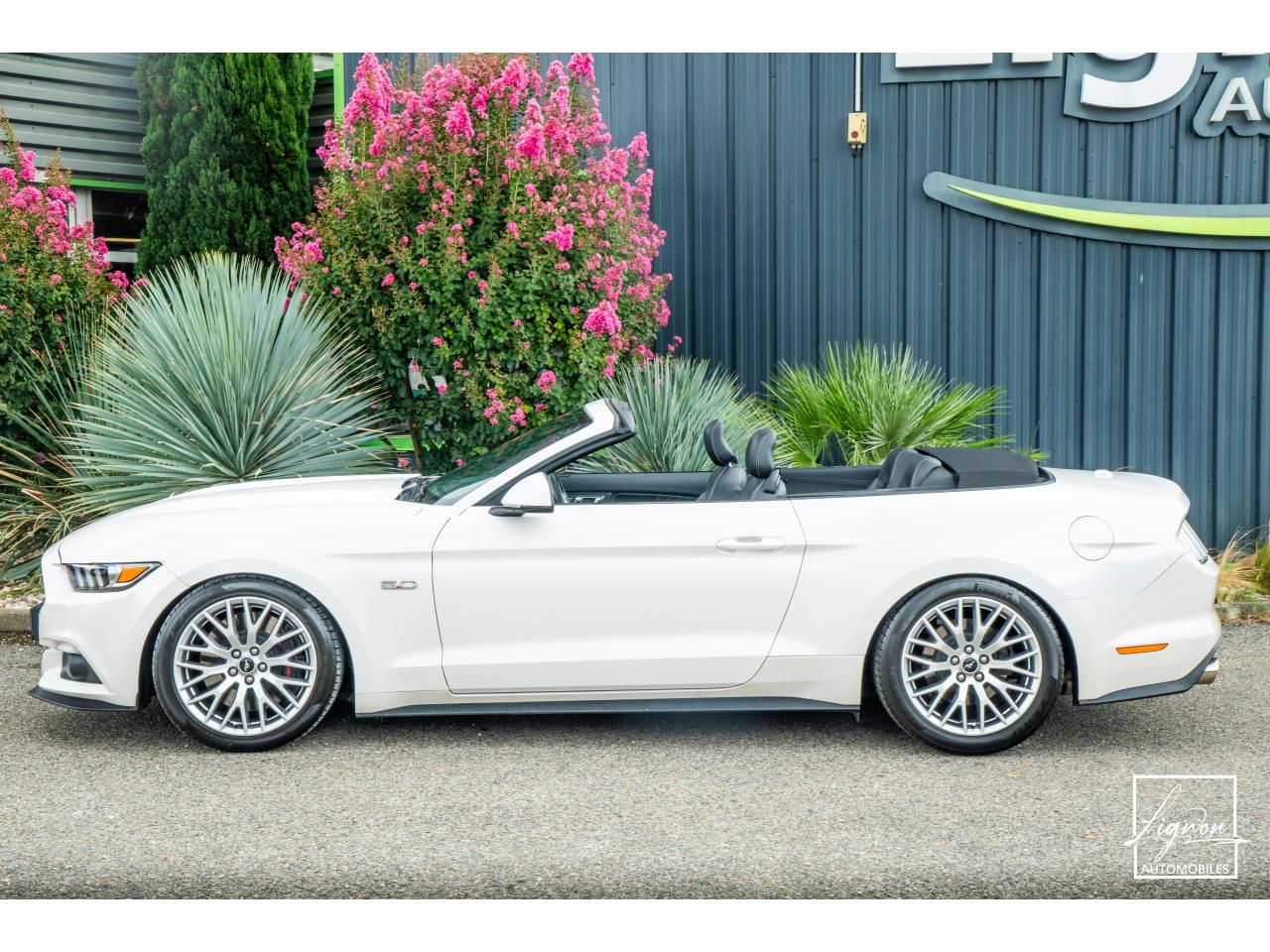 Photo FORD MUSTANG Cabriolet 5.0 V8 - 421 - BVA  GT - Echappement à Clapets - 1er main - à partir de 601 euros