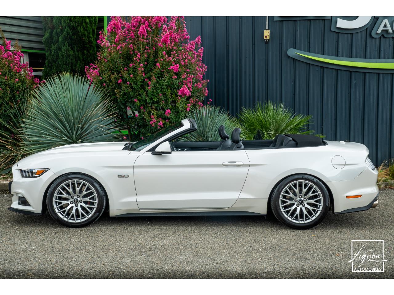 Photo FORD MUSTANG Cabriolet 5.0 V8 - 421 - BVA  GT - Echappement à Clapets - 1er main - à partir de 601 euros