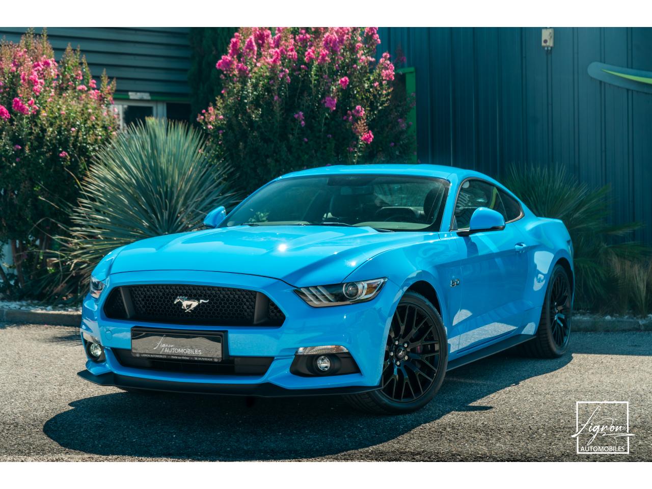 FORD MUSTANG Fastback 5.0 V8 - 421 - BVA6 - 1er main - à partir de 581 euros