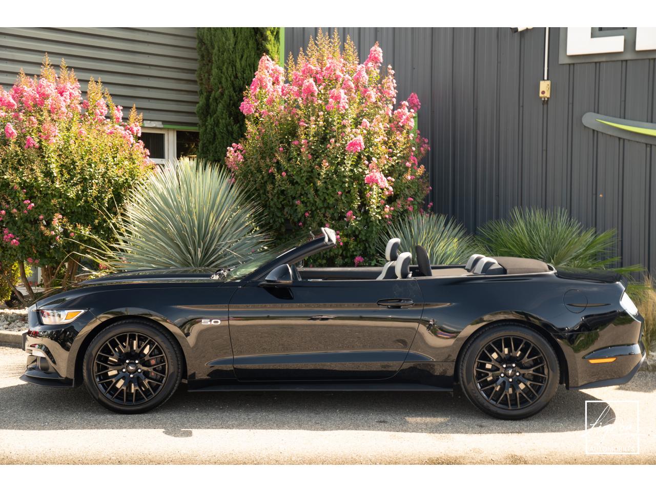 Photo FORD MUSTANG Cabriolet 5.0 V8 - 421 - BVA  1er main