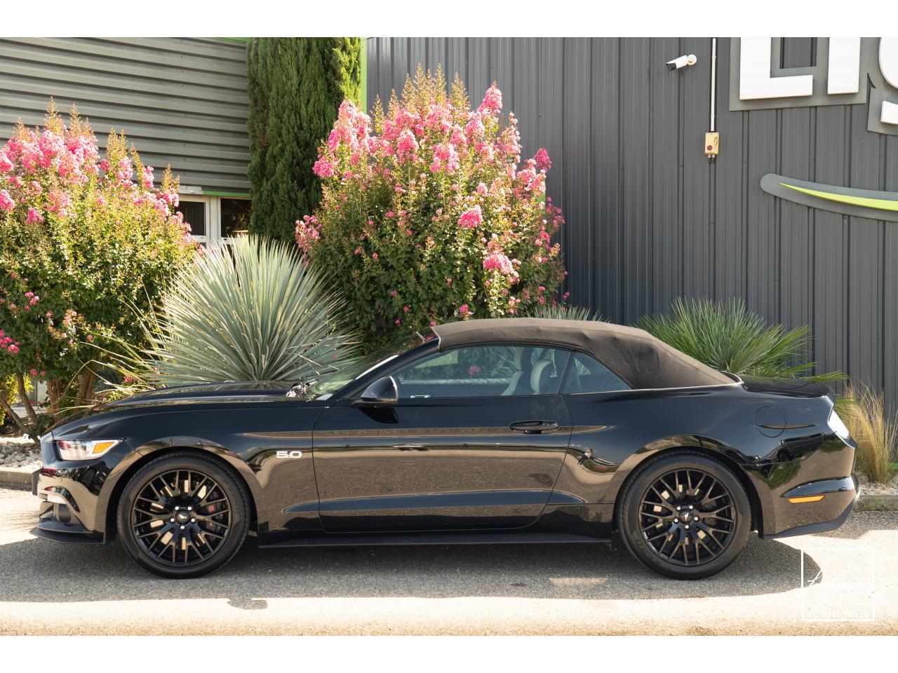 Photo FORD MUSTANG Cabriolet 5.0 V8 - 421 - BVA  1er main
