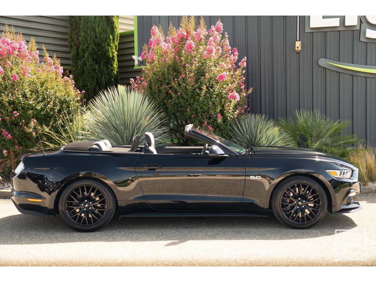 Photo FORD MUSTANG Cabriolet 5.0 V8 - 421 - BVA  1er main