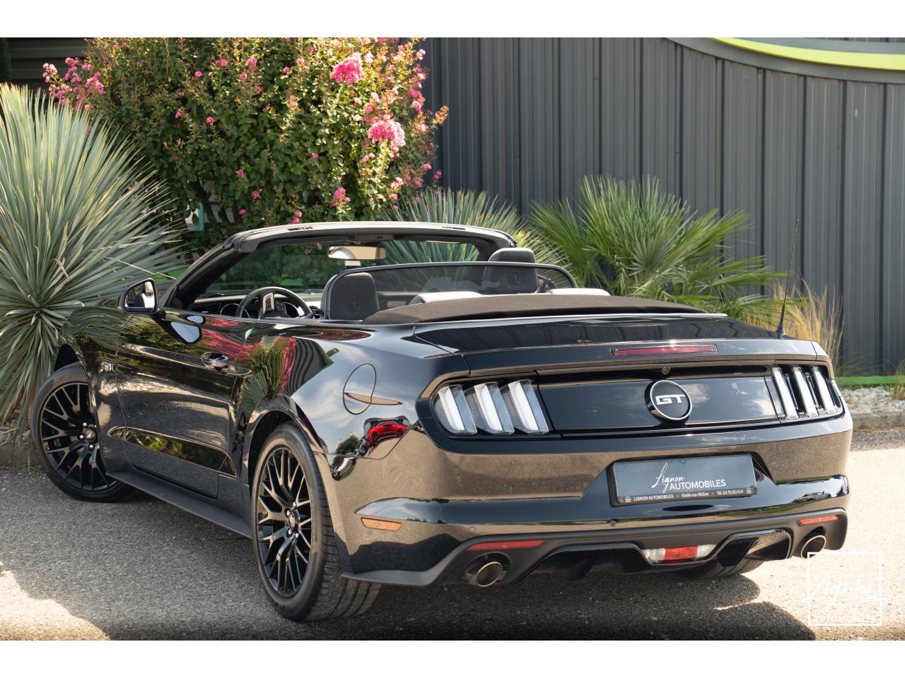 Photo FORD MUSTANG Cabriolet 5.0 V8 - 421 - BVA  1er main