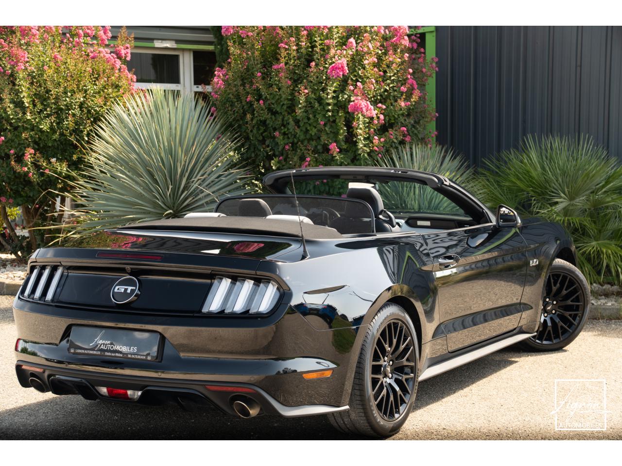 Photo FORD MUSTANG Cabriolet 5.0 V8 - 421 - BVA  1er main
