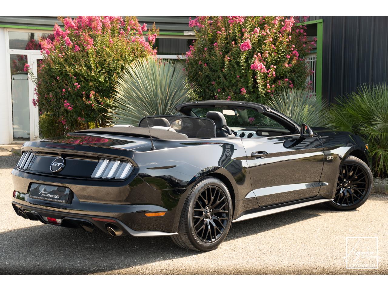 Photo FORD MUSTANG Cabriolet 5.0 V8 - 421 - BVA  1er main