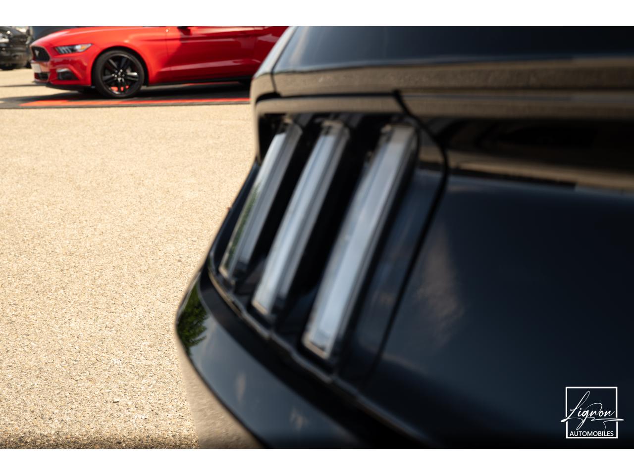 Photo FORD MUSTANG Cabriolet 5.0 V8 - 421 - BVA  1er main