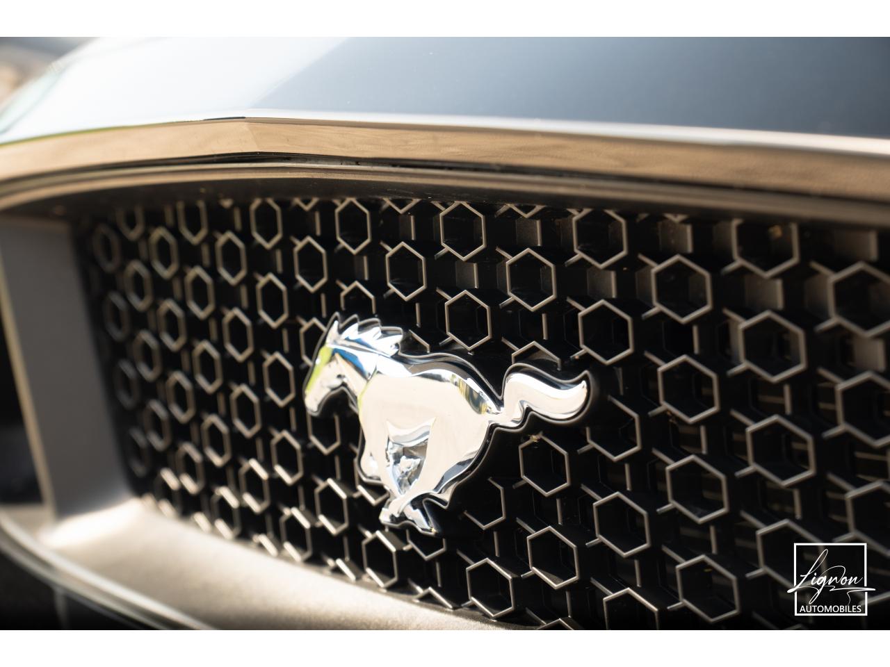 Photo FORD MUSTANG Cabriolet 5.0 V8 - 421 - BVA  1er main