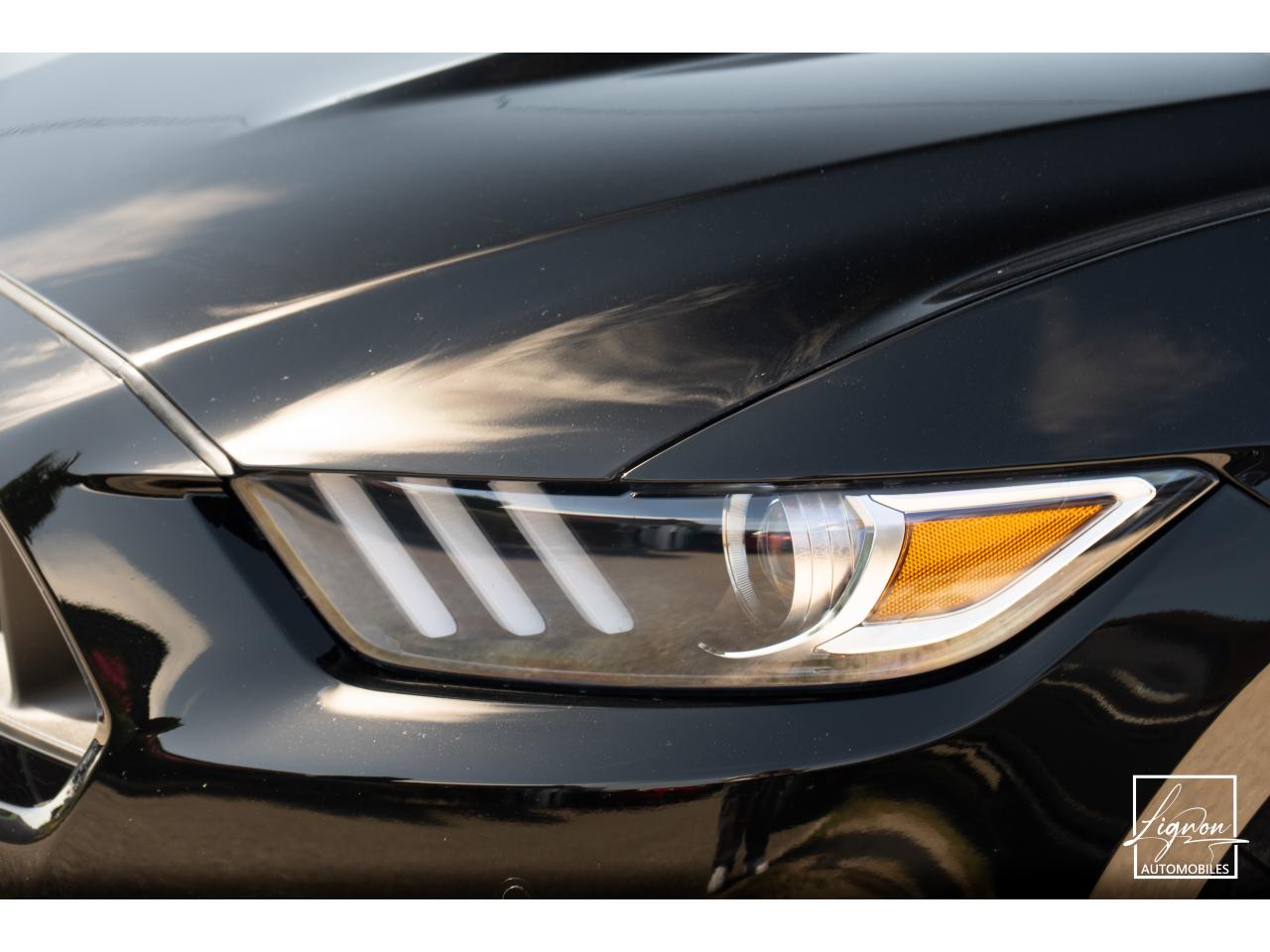 Photo FORD MUSTANG Cabriolet 5.0 V8 - 421 - BVA  1er main