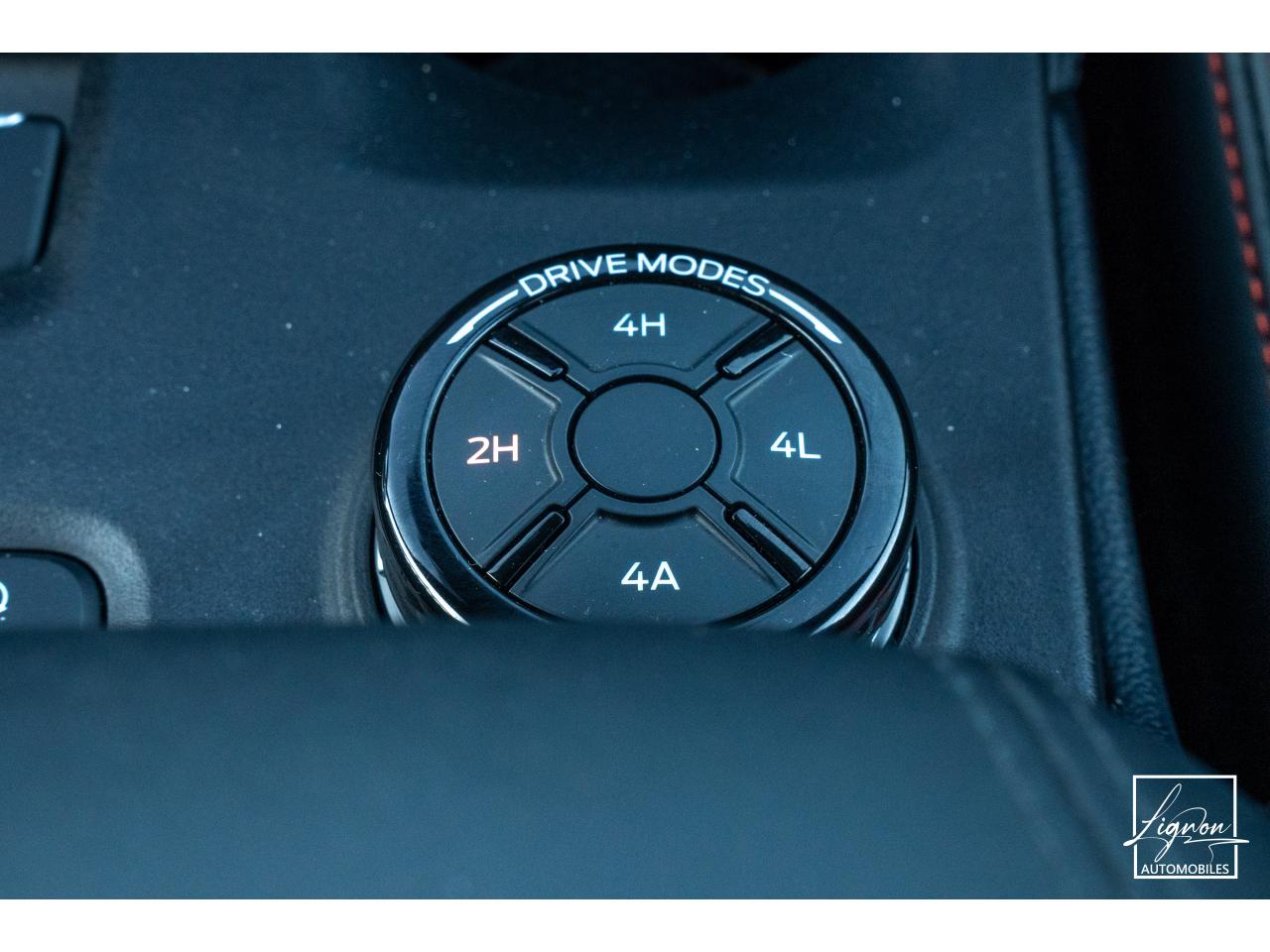 Photo FORD RAPTOR 3.0 V6 EcoBoost 2026 - 292 - BVA - TVA Apparente - à partir de 732 euros