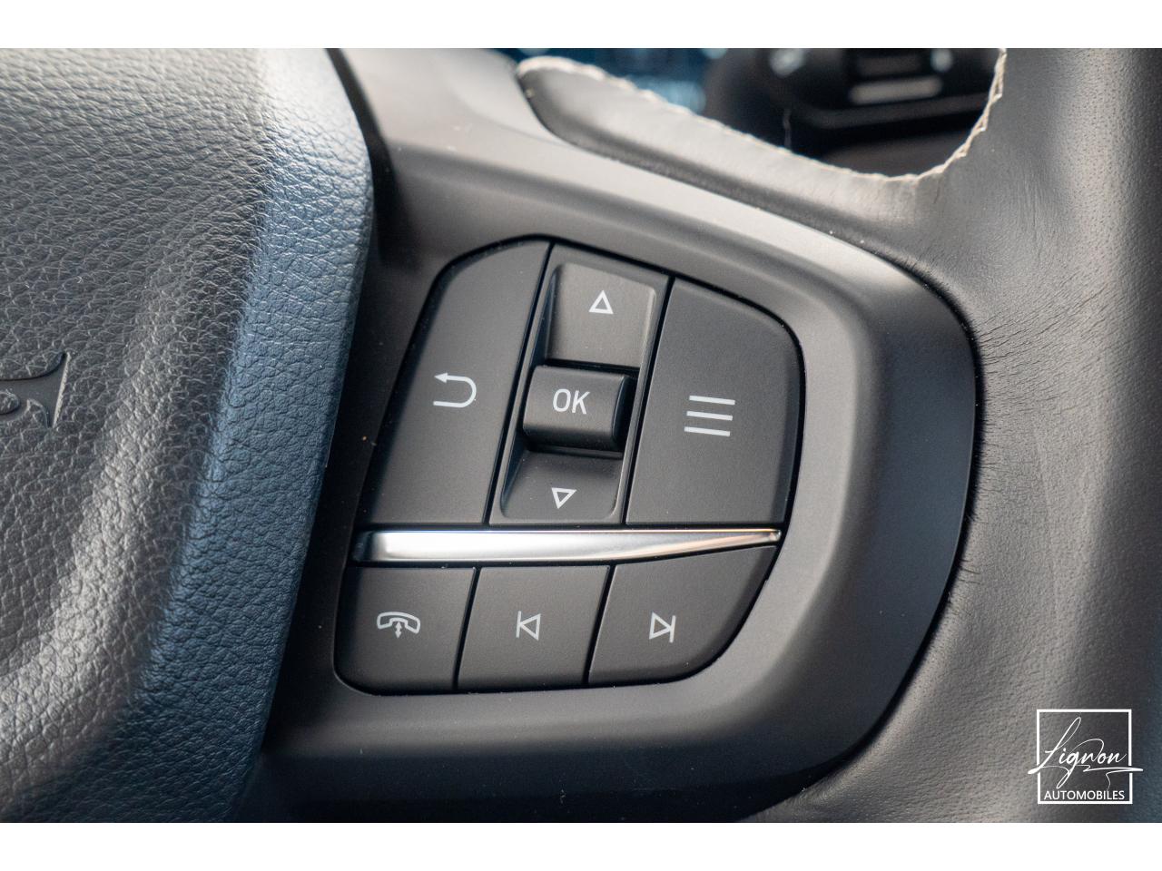 Photo FORD RANGER Platinum 3.0 V6  - 240 - BVA 2026 Double Cabine 4 places - TVA Apparente - à partir de 626 euros
