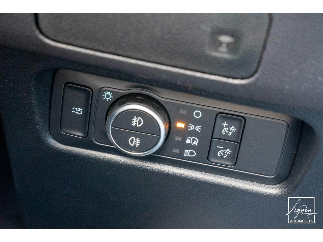 Photo FORD RANGER Platinum 3.0 V6  - 240 - BVA 2026 Double Cabine 4 places - TVA Apparente - à partir de 626 euros