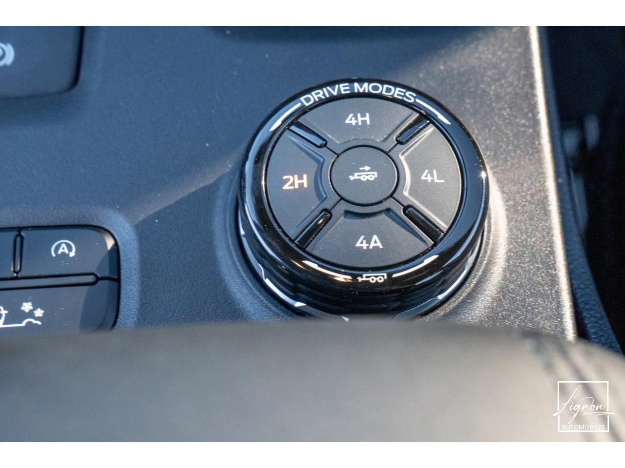 Photo FORD RANGER Raptor 3.0 V6 2026 EcoBoost - 292 - BVA - 4 Places TVA Apparente - à partir de 745 euros
