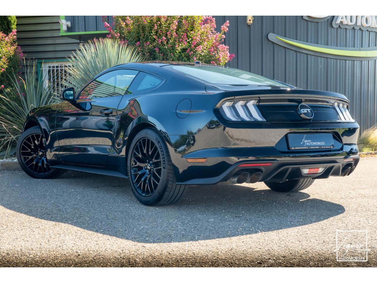 Photo FORD MUSTANG Fastback GT 5.0 V8 - 450 ch - BVM6 - Recaro - à partir de 724 euros