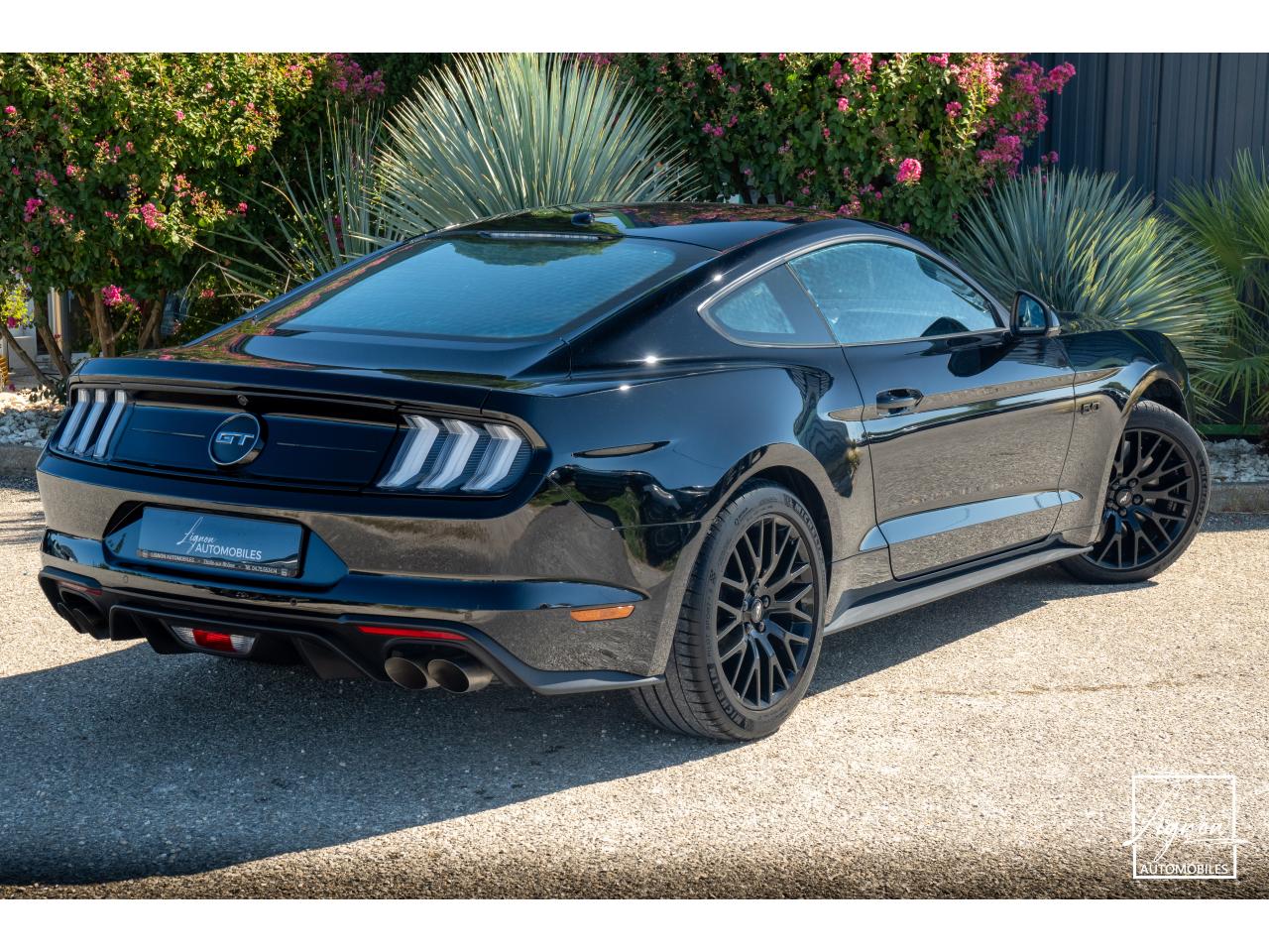 Photo FORD MUSTANG Fastback GT 5.0 V8 - 450 ch - BVM6 - Recaro - à partir de 724 euros
