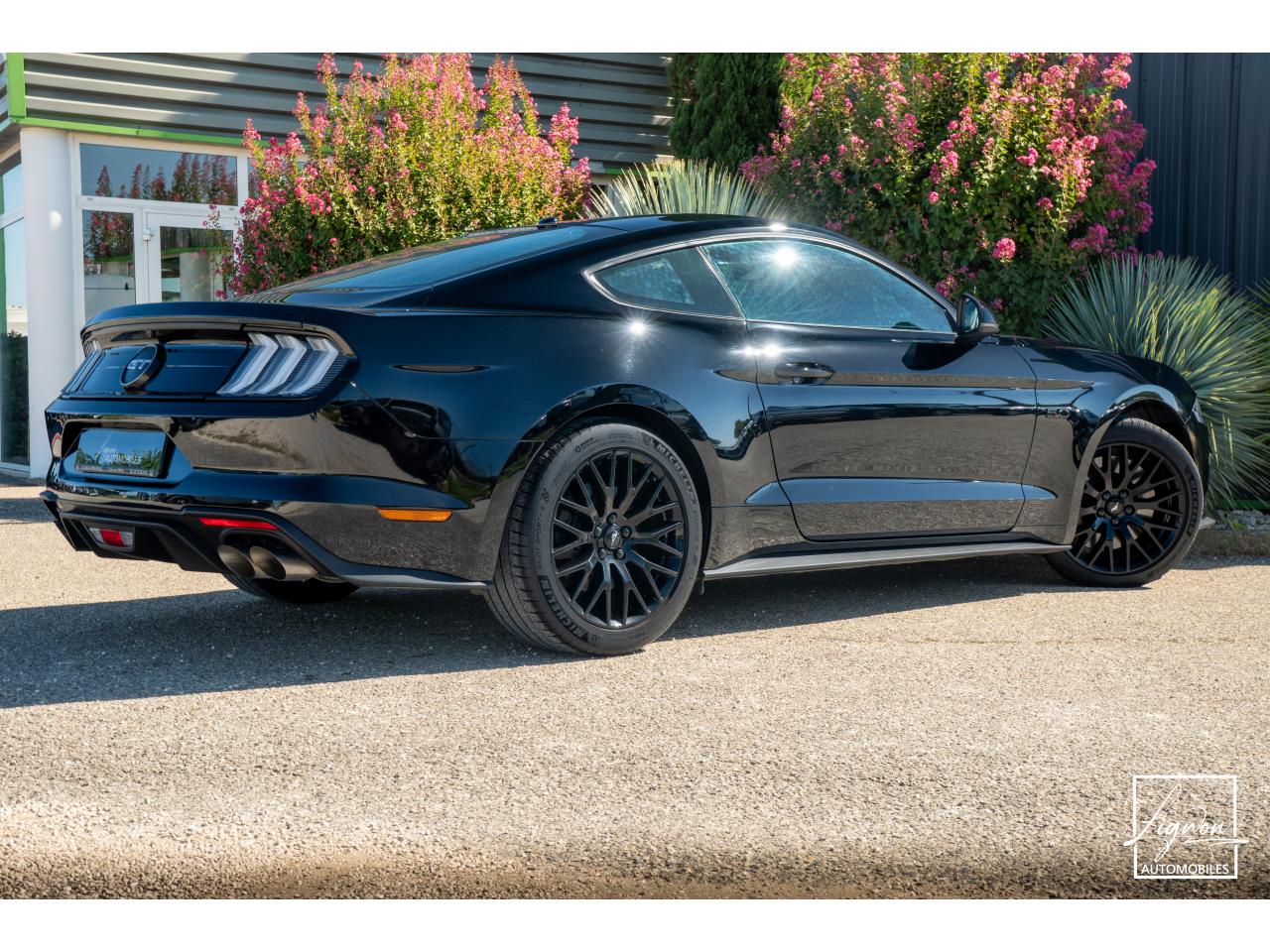 Photo FORD MUSTANG Fastback GT 5.0 V8 - 450 ch - BVM6 - Recaro - à partir de 724 euros