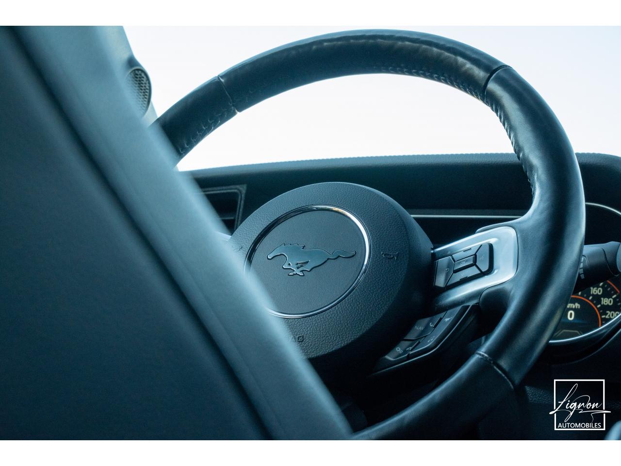 Photo FORD MUSTANG Fastback GT 5.0 V8 - 450 ch - BVM6 - Recaro - à partir de 724 euros