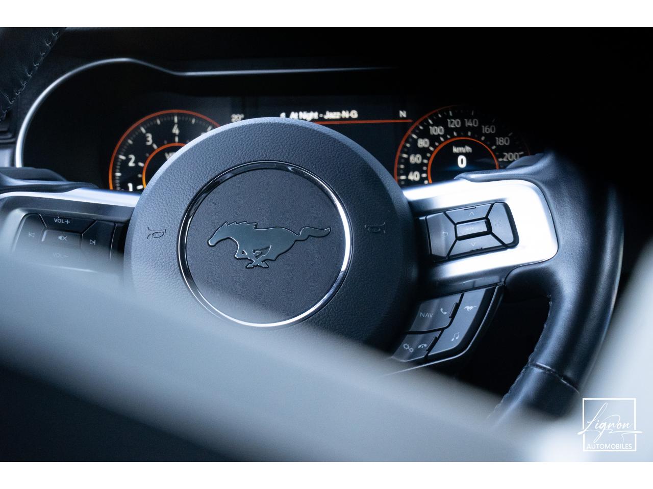 Photo FORD MUSTANG Fastback GT 5.0 V8 - 450 ch - BVM6 - Recaro - à partir de 724 euros
