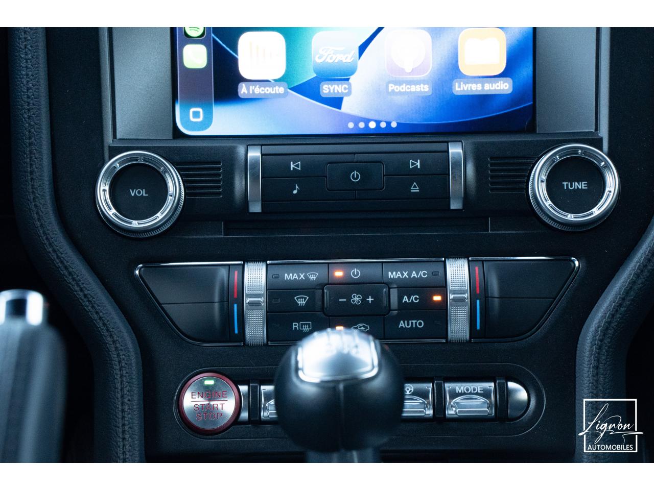 Photo FORD MUSTANG Fastback GT 5.0 V8 - 450 ch - BVM6 - Recaro - à partir de 724 euros
