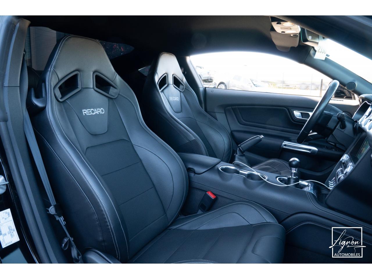 Photo FORD MUSTANG Fastback GT 5.0 V8 - 450 ch - BVM6 - Recaro - à partir de 724 euros
