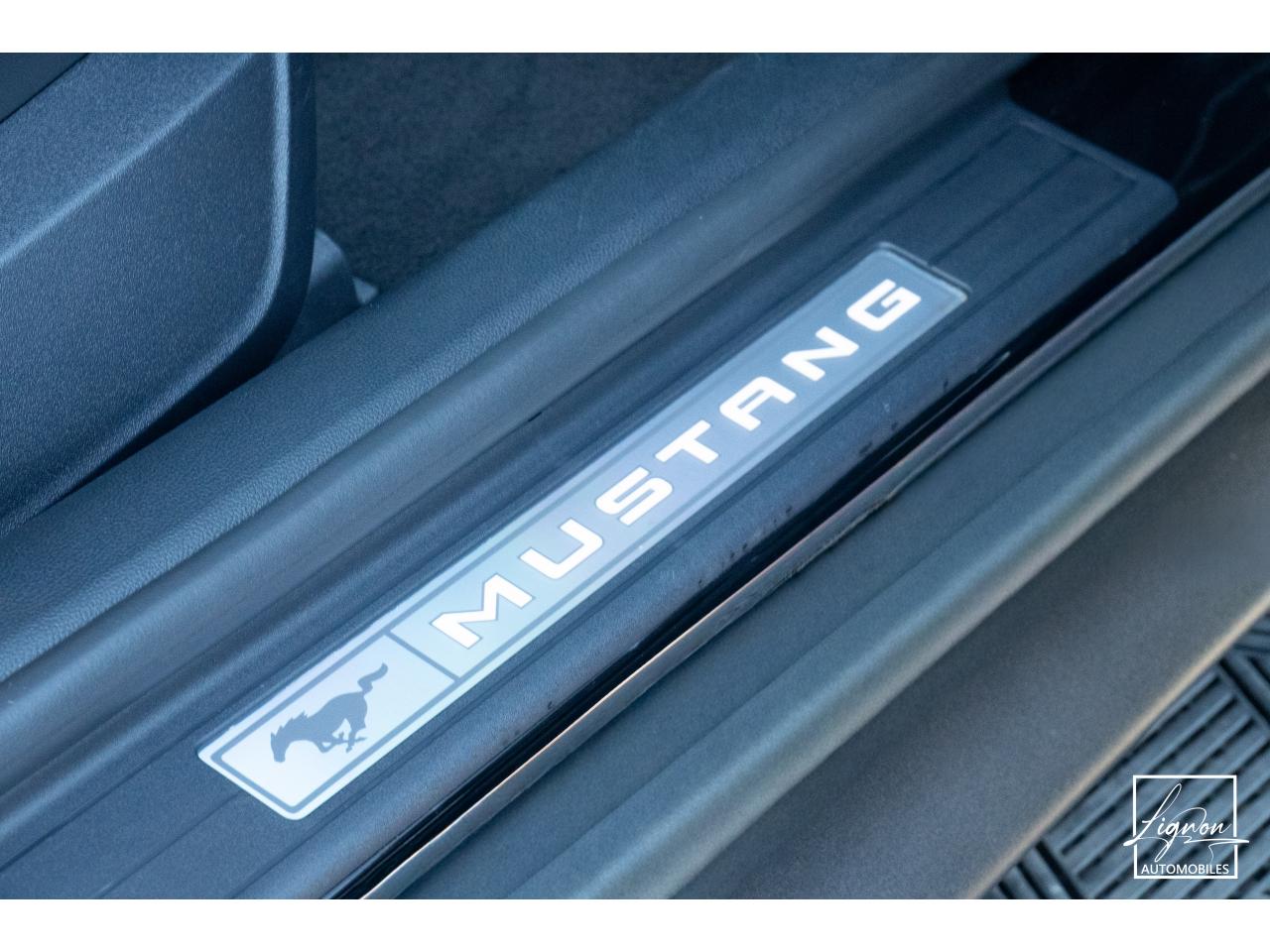 Photo FORD MUSTANG Fastback GT 5.0 V8 - 450 ch - BVM6 - Recaro - à partir de 724 euros