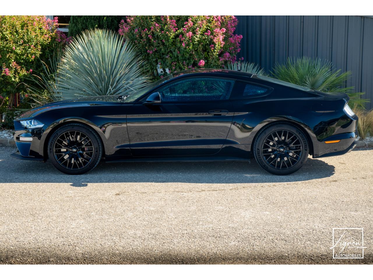 FORD MUSTANG Fastback GT 5.0 V8 - 450 ch - BVM6 - Recaro - à partir de 724 euros