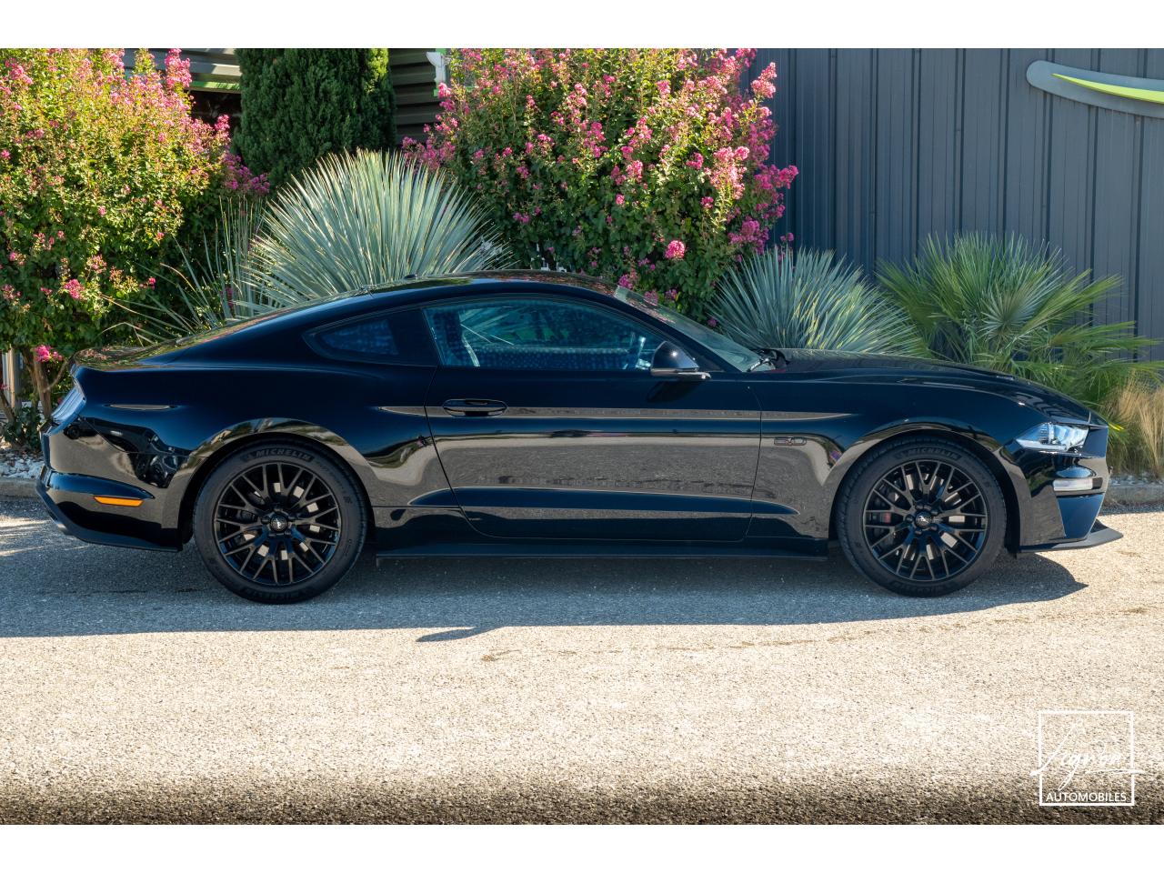 Photo FORD MUSTANG Fastback GT 5.0 V8 - 450 ch - BVM6 - Recaro - à partir de 724 euros